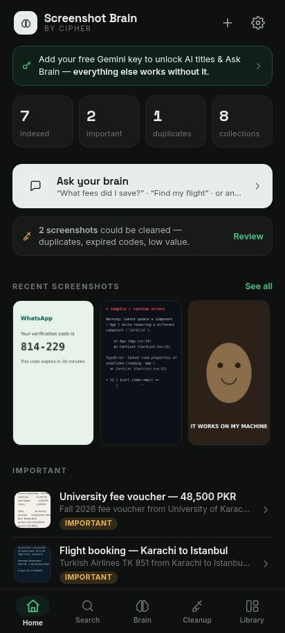 Home screen: library stats, Ask Brain card, cleanup recommendations and recent screenshots